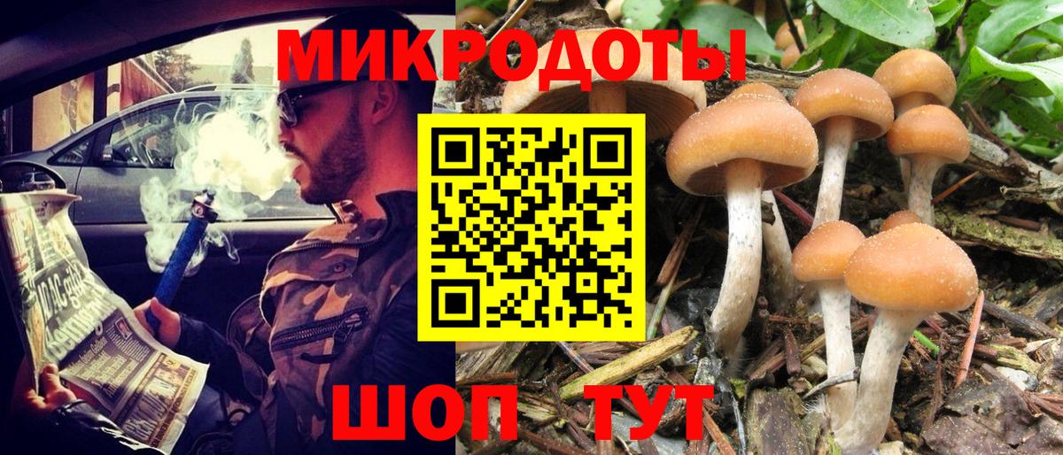 Галлюциногенные грибы Psilocybe  Вход с VPN  Заводоуковск  где найти   Галлюциногенные грибы GOLDEN TEACHER 