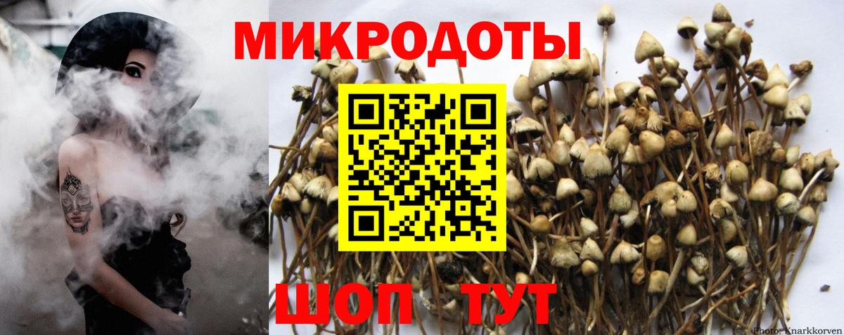 Галлюциногенные грибы Cubensis Заводоуковск