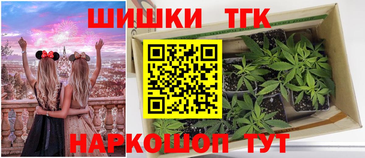 Бошки Шишки план Заводоуковск